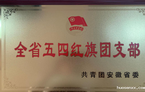 我校电气信息工程学院2018级通信工程团总支荣获“全省五四红旗团（总）支部”称号